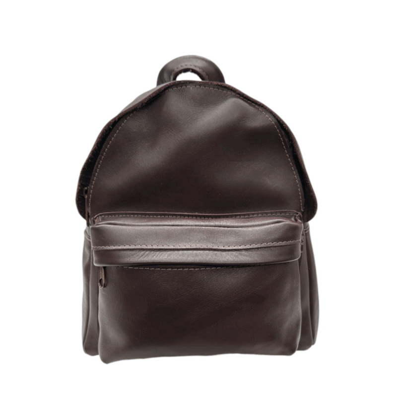 Pantica Dark Brown Mini Leather Backpack